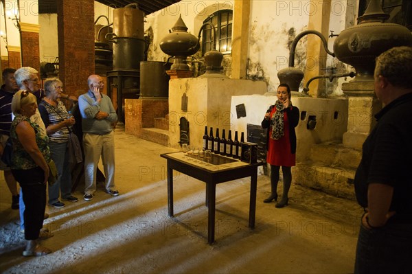 Tour guide explains brandy cognac production in Gonzalez Byass bodega, Jerez de la Frontera, Cadiz province, Spain, Europe