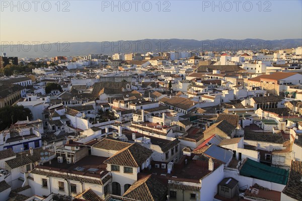 Oblique raised angle view of historic city centre buildings, Cordoba, Spain, Europe