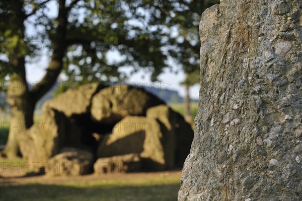 Megalithic Grand Dolmen de Weris and menhir made of conglomerate rock, Belgian Ardennes, Luxembourg, Belgium, Europe