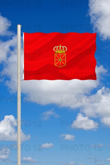 The flag of Navarre, Spain, Europe, EU, Studio, Europe