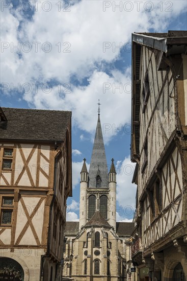 Old town, Dijon, Cote d'Or department, Bourgogne-Franche-Comte, Burgundy, France, Europe