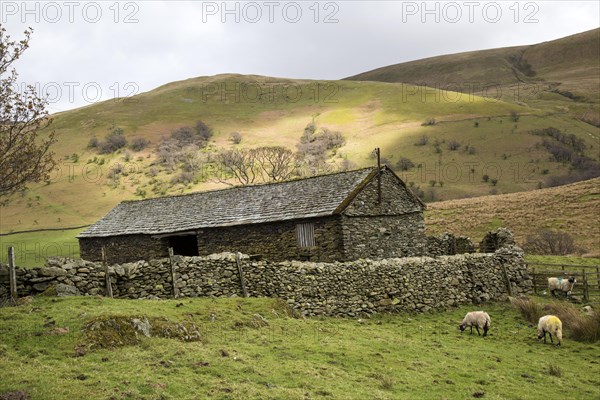 Traditional stone barn Martindale valley, Lake District national park, Cumbria, England, UK