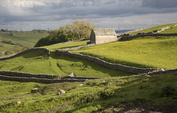 Old barn and dry stonewalls, Malham, Yorkshire Dales national park, England, UK