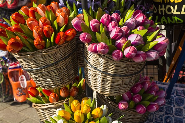 Souvenir wooden tulip flowers on sale outside a tourist shop, Rotterdam, Netherlands