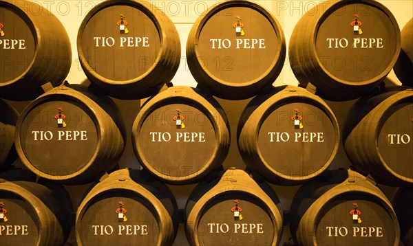 Oak barrels of maturing Tio Pepe fino sherry wine cellar, Gonzalez Byass bodega, Jerez de la Frontera, Cadiz province, Spain, Europe