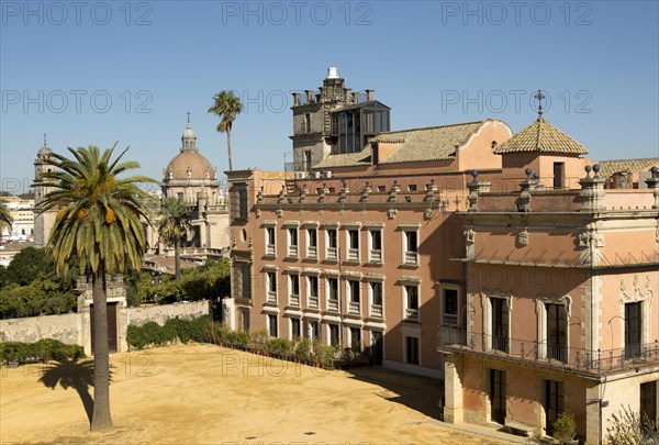 Historic palace building, Palacio de Villavicencio and gardens in the Alcazar, Jerez de la Frontera, Spain, Europe