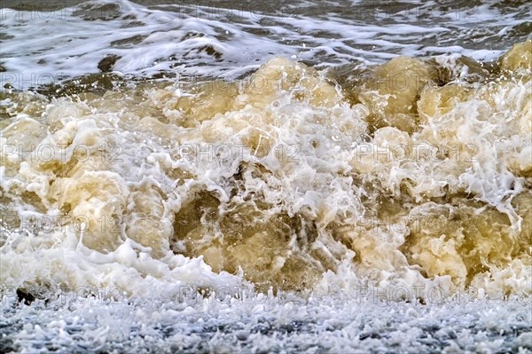 Wave crashing, rolling on sandy beach showing brown, murky water with sand during winter storm along the North Sea coast in Zeeland, Netherlands