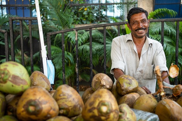 Man selling coconuts, Chennai, Tamil Nadu, India, Asia