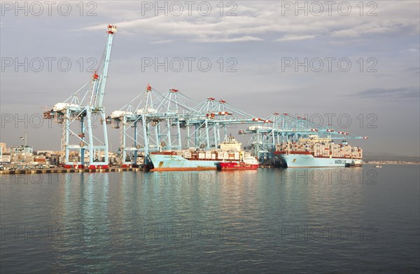 Large cranes at APM Terminals loading container ships port at Algeciras, Cadiz Province, Spain, Europe