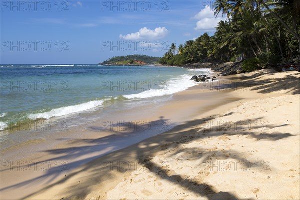 Tropical landscape of palm trees and sandy beach, Mirissa, Sri Lanka, Asia shadow of palm tree, Asia