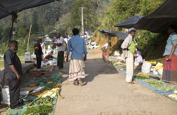 Fruit and vegetable market, Haputale, Badulla District, Uva Province, Sri Lanka, Asia