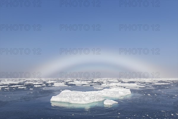 Fogbow, fog bow, white rainbow, sea-dog over the Arctic Sea at Svalbard, Norway, Europe