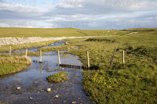 Stream flowing over limestone rock, Malham, Yorkshire Dales national park, England, UK