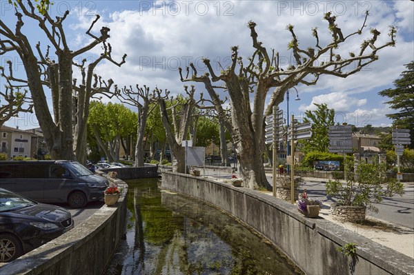 Small canal lined with bare trees in Goudargues, Departement Gard, Occitanie region, France, Europe