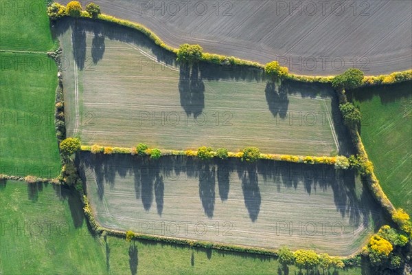 Aerial view over countryside showing bocage landscape with fields, meadows and pastures, patchwork of plots shielded by hedges and hedgerows in autumn