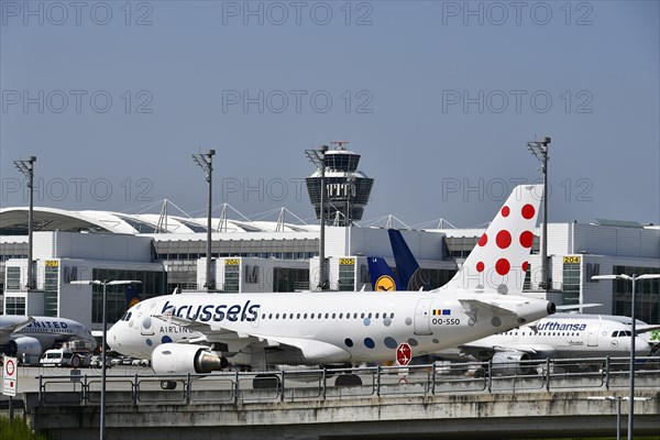 Full tarmac with heavy traffic with Brussels Airlines in front of Terminal 2, Munich Airport, Upper Bavaria, Bavaria, Germany, Europe