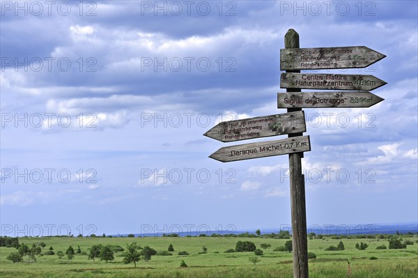 Wooden signpost for walkers in the High Fens, Hautes Fagnes, Belgian Ardennes, Belgium, Europe