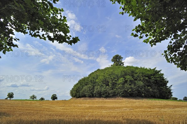 The Glimes Tumulus, a Gallo-Roman burial mound near Incourt, Belgium, Europe