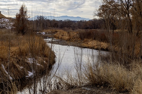 Denver, Colorado, Wetlands along the Clear Creek Trail. The hiking/biking trail runs 19 miles from Golden, Colorado to the South Platte River. The creek begins in the Rocky Mountain, visible in the distance