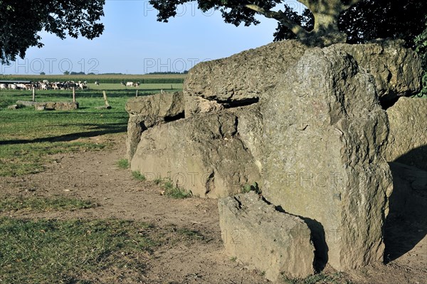 Megalithic Grand Dolmen de Weris made of conglomerate rock, Belgian Ardennes, Luxembourg, Belgium, Europe