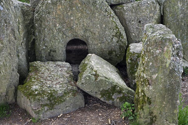 Dolmen d'Oppagne, Dolmen de Weris II, Belgian Ardennes, Belgium, Europe