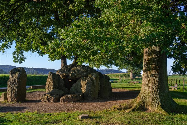 Grand Dolmen de Weris, megalithic gallery grave, chambered tomb near Durbuy in summer, province of Luxembourg, Belgian Ardennes, Wallonia, Belgium, Europe