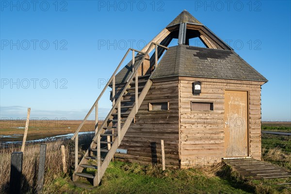 Bird hide at the nature reserve Verdronken Land van Saeftinghe, salt marsh of the Western Scheldt estuary on the border of the Netherlands and Belgium