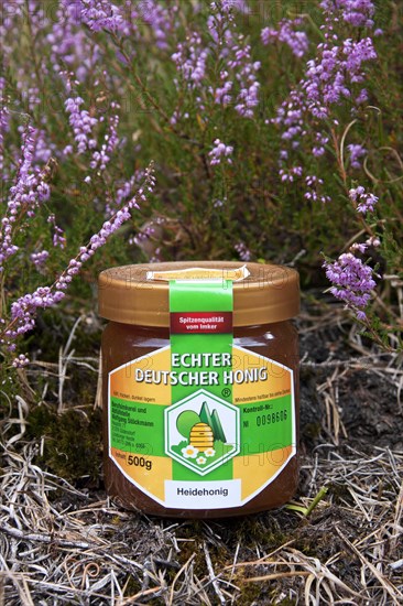 Honey jar, skep of apiary in heather at the Lueneburg Heath, Lunenburg Heathland, Lower Saxony, Germany, Europe