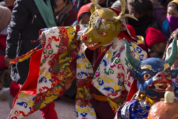 A monk performing cham, the sacred religious masked dance, during the Spituk Gustor winter festival in the Spituk Gompa, the Buddhist monastery near Leh, the capital of Ladakh. Many inhabitants of this Indian region, which is often called Little Tibet, follow the Tibetan Buddhism. District Leh, Union Territory of Ladakh, India, Asia