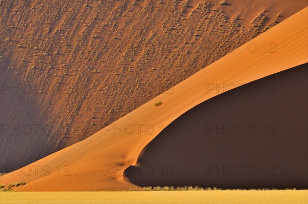 Red sand dunes of the Sossusvlei, Sossus Vlei in the Namib desert, Namibia, Africa