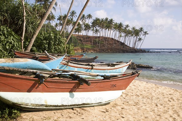 Brightly coloured fishing canoes under coconut palm trees of tropical sandy beach, Mirissa, Sri Lanka, Asia