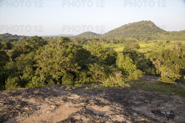 Landscape overview Hurulu Eco Park biosphere reserve, Habarana, Anuradhapura District, Sri Lanka, Asia
