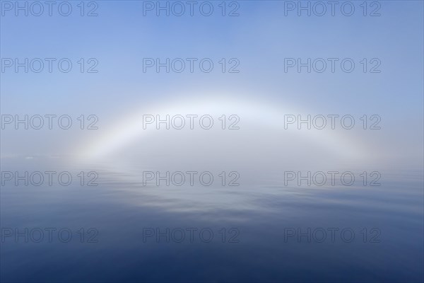 Fogbow, fog bow, white rainbow, sea-dog over the Arctic Sea at Svalbard, Norway, Europe