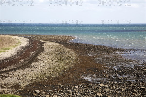 Stoney beach at low tide, Holy Island, Lindisfarne, Northumberland, England, UK