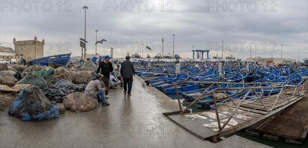 Traditional blue fishing boats in the harbour, Essaouira, Morocco, Africa