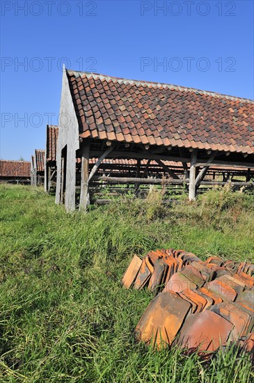 Drying yards and roof tiles at brickworks, Boom, Belgium, Europe