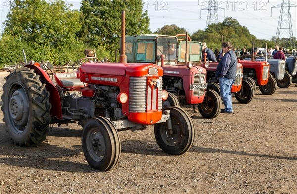 Vintage Massey Ferguson tractors at auction sale of vintage farming equipment, Campsea Ashe, Suffolk, England, UK
