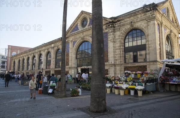 Florist flower stall outside historic market building, Jerez de la Frontera, Spain, Europe