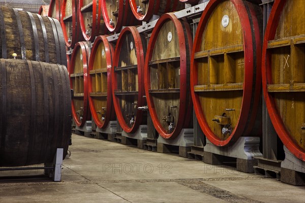 Oak barrels at Brouwerij Boon, Belgian brewery at Lembeek near Brussels, producer of geuze and kriek beer