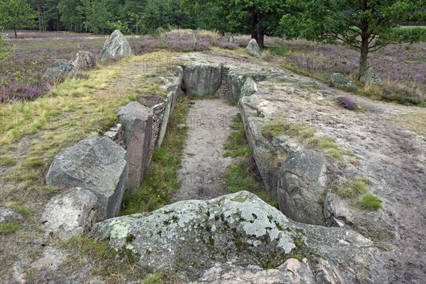 Passage grave at Oldendorfer Totenstatt, group of six burial mounds and megalith sites in Oldendorf near Amelinghausen, Lueneburg Heath, Lower Saxony, Germany, Europe