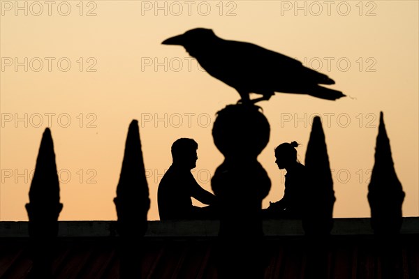 Silhouette of a couple and a crow, former French colony of Pondicherry or Puducherry, Tamil Nadu, India, Asia