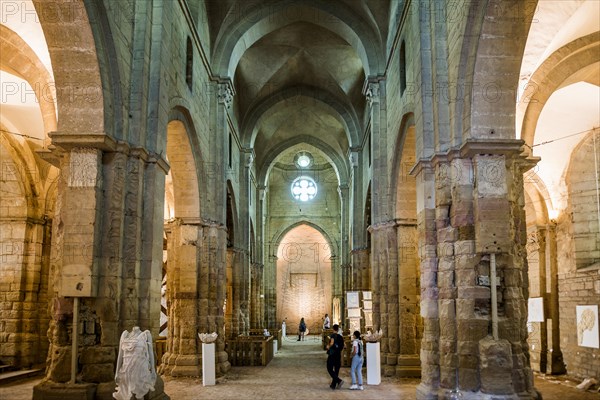 Old town, Dijon, Cote d'Or department, Bourgogne-Franche-Comte, Burgundy, France, Europe