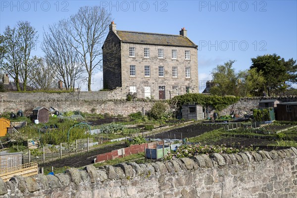 The Lion House, early nineteenth century, Berwick-upon-Tweed, Northumberland, England, UK