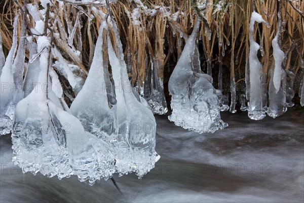 Icicles over water along river in winter in the Harz National Park, Germany, Europe