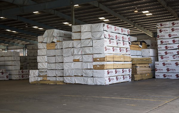 Piles of imported timber planks in Anglo Norden warehouse, Ipswich, Suffolk, England, UK