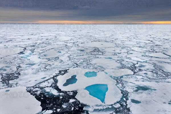 Sea ice, drift ice, ice floes floating in the Arctic Ocean at sunset, Nordaustlandet, North East Land, Svalbard, Spitsbergen, Norway, Europe