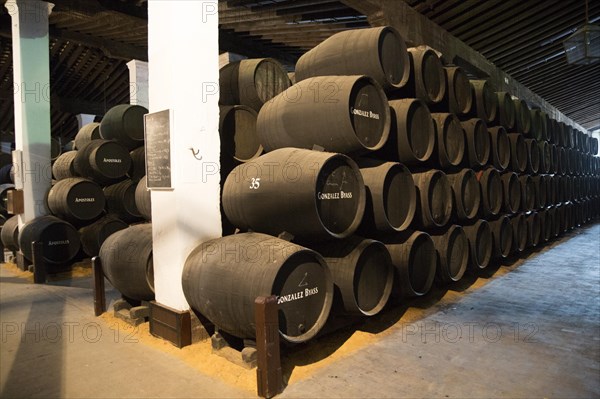 Oak barrels of maturing sherry wine in cellar, Gonzalez Byass bodega, Jerez de la Frontera, Cadiz province, Spain, Europe