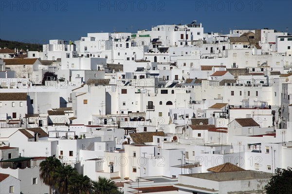 Pueblo blanco historic village whitewashed houses on hillside, Vejer de la Frontera, Cadiz Province, Spain, Europe