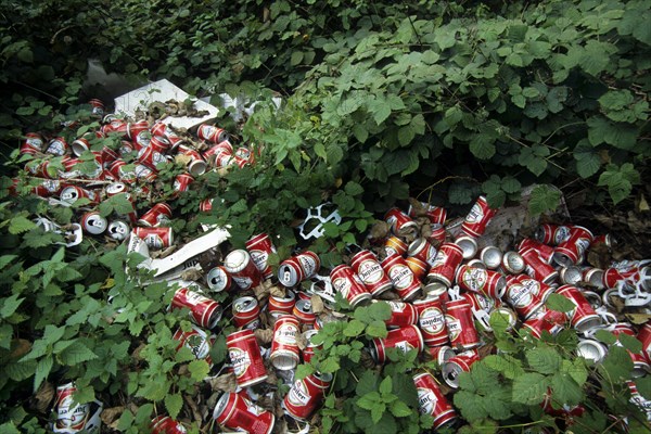 Illegal dump with discarded beer cans littering bushes