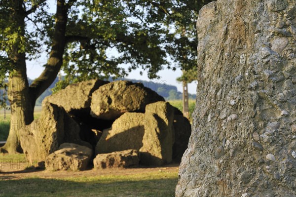 Megalithic Grand Dolmen de Weris and menhir made of conglomerate rock, Belgian Ardennes, Luxembourg, Belgium, Europe